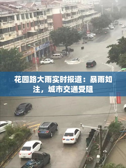 花园路大雨实时报道：暴雨如注，城市交通受阻