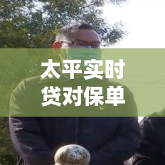 太平实时贷对保单影响解析