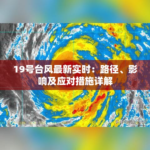 19号台风最新实时：路径、影响及应对措施详解