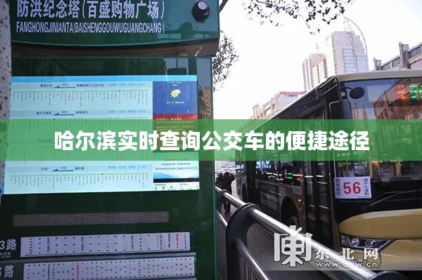 哈尔滨实时查询公交车的便捷途径