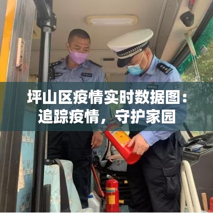 坪山区疫情实时数据图：追踪疫情，守护家园