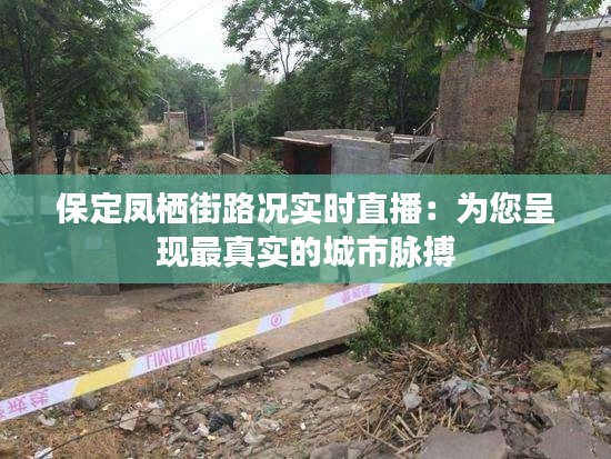 一花独放 第3页