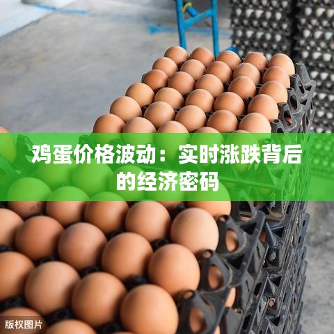 千载难逢 第3页
