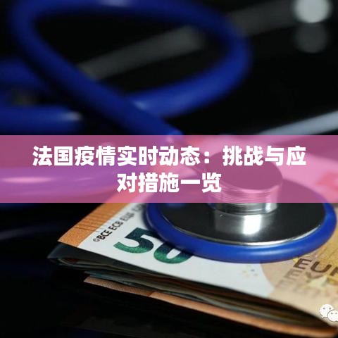 法国疫情实时动态：挑战与应对措施一览