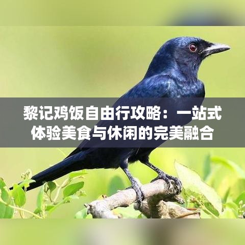 大张旗鼓 第3页