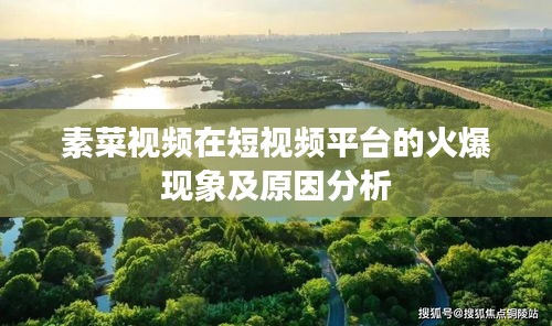 素菜视频在短视频平台的火爆现象及原因分析