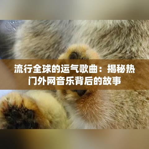 流行全球的运气歌曲：揭秘热门外网音乐背后的故事