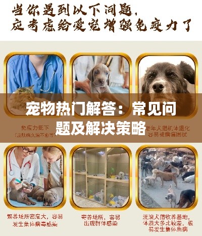 宠物热门解答：常见问题及解决策略