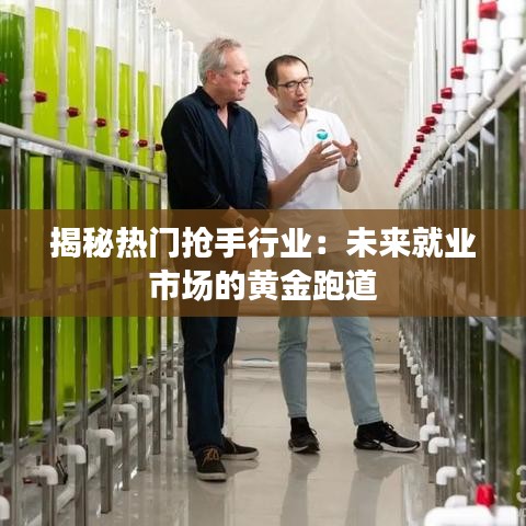 揭秘热门抢手行业：未来就业市场的黄金跑道
