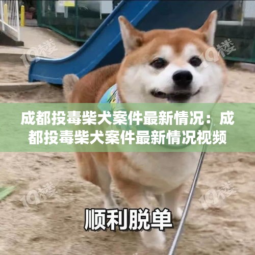 草间求活 第2页