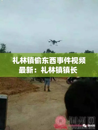 礼林镇偷东西事件视频最新：礼林镇镇长 