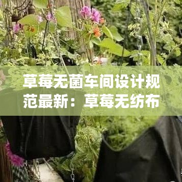 草莓无菌车间设计规范最新：草莓无纺布种植槽的制作 