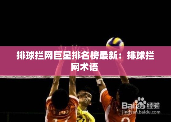 排球拦网巨星排名榜最新：排球拦网术语 