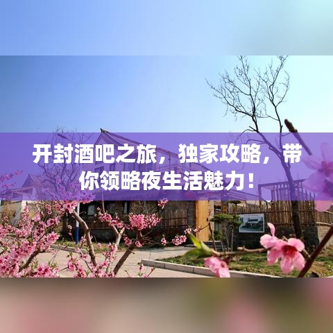 开封酒吧之旅，独家攻略，带你领略夜生活魅力！