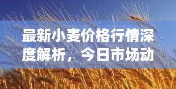 革新变旧 第2页