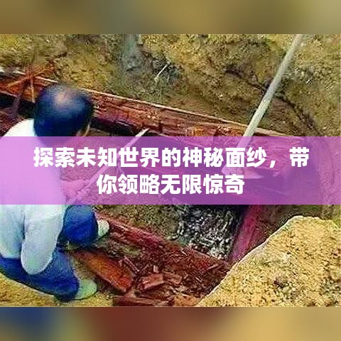 箪瓢陋巷 第2页