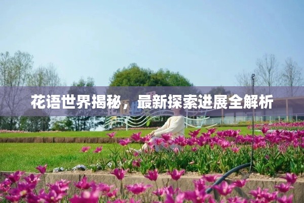 花语世界揭秘，最新探索进展全解析