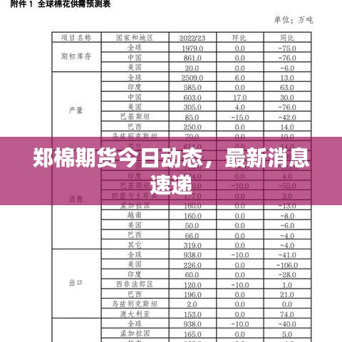 郑棉期货今日动态，最新消息速递