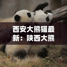 笼中之鸟 第2页