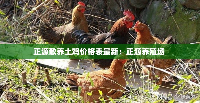 正源散养土鸡价格表最新：正源养殖场 