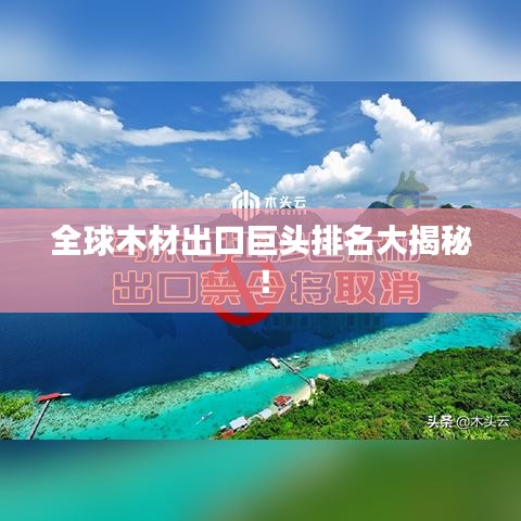 全球木材出口巨头排名大揭秘！