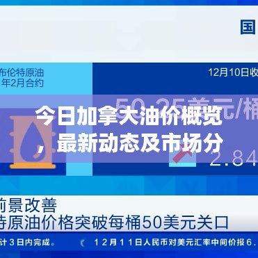 今日加拿大油价概览，最新动态及市场分析