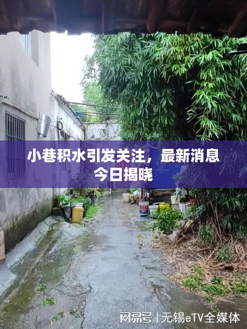 关于我们 第94页