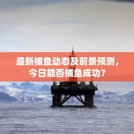 最新捕鱼动态及前景预测，今日能否捕鱼成功？
