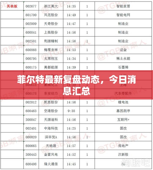 菲尔特最新复盘动态，今日消息汇总