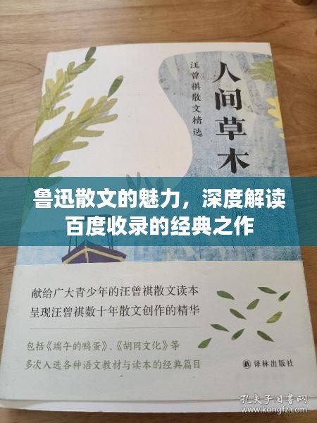 鲁迅散文的魅力，深度解读百度收录的经典之作