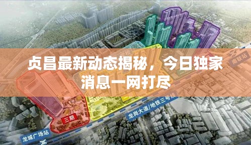 贞昌最新动态揭秘，今日独家消息一网打尽
