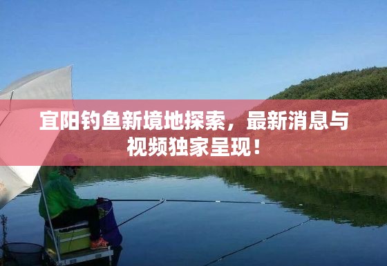 宜阳钓鱼新境地探索，最新消息与视频独家呈现！
