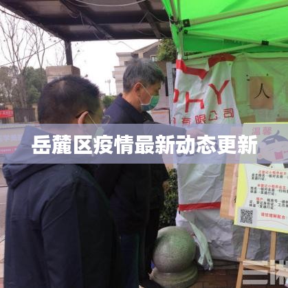 岳麓区疫情最新动态更新