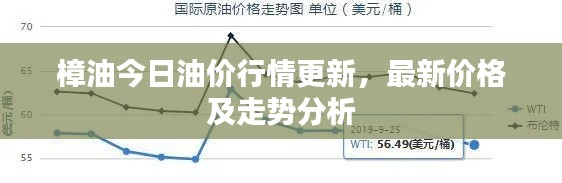 樟油今日油价行情更新，最新价格及走势分析