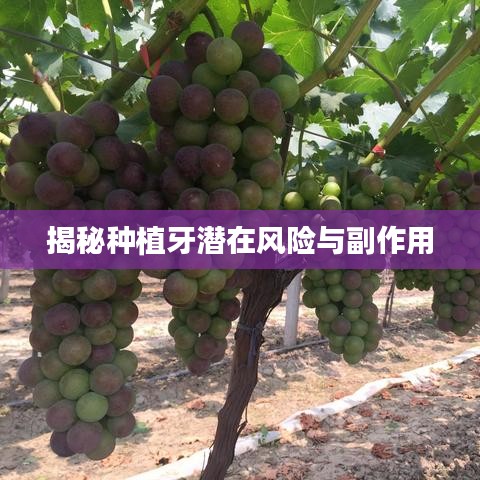 知错就改 第2页