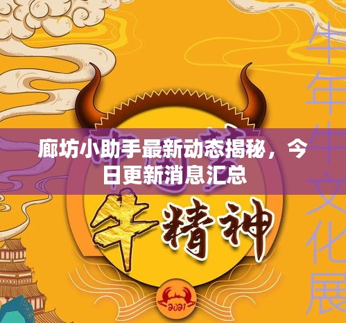 廊坊小助手最新动态揭秘，今日更新消息汇总