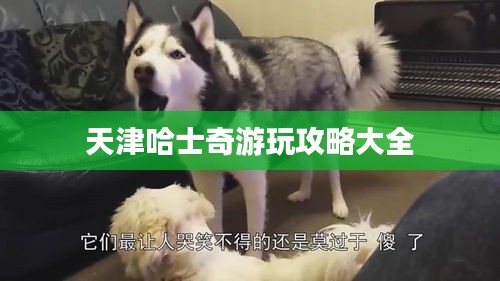 贵极人臣 第2页