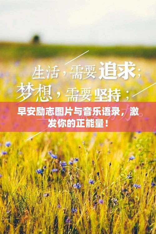 人前显贵 第2页