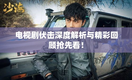 电视剧伏击深度解析与精彩回顾抢先看！