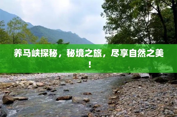 养马峡探秘，秘境之旅，尽享自然之美！