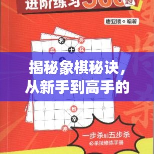 揭秘象棋秘诀，从新手到高手的进阶之路，百度带你领略象棋智慧之巅
