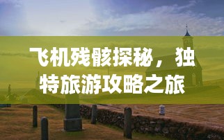 飞机残骸探秘，独特旅游攻略之旅