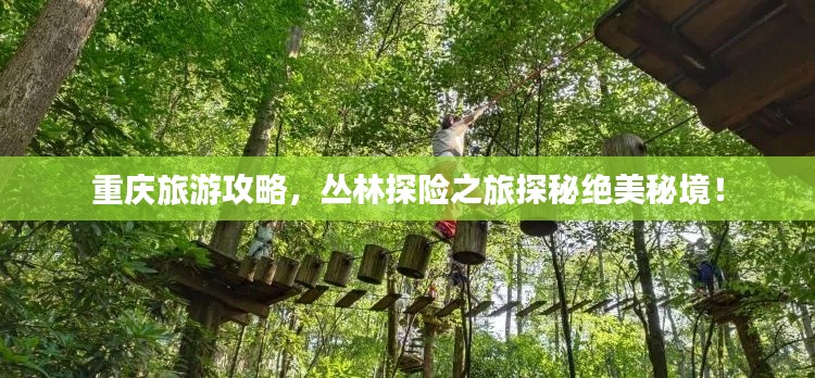 百鸟齐鸣 第2页
