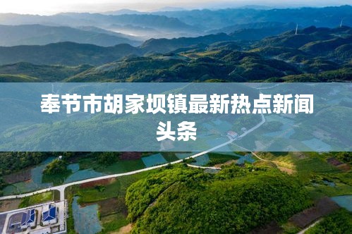 奉节市胡家坝镇最新热点新闻头条