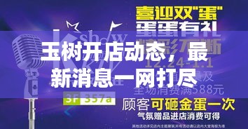 玉树开店动态，最新消息一网打尽