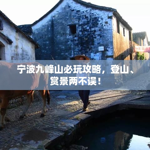 宁波九峰山必玩攻略，登山、赏景两不误！