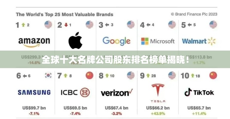 全球十大名牌公司股东排名榜单揭晓！