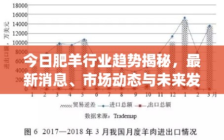 今日肥羊行业趋势揭秘，最新消息、市场动态与未来发展展望