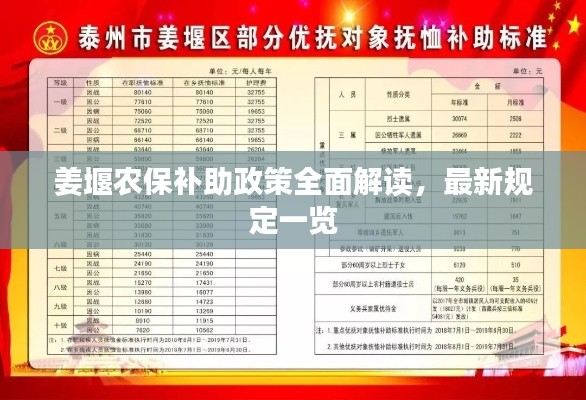 姜堰农保补助政策全面解读，最新规定一览