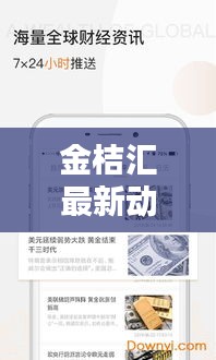 金桔汇最新动态揭秘，今日消息一网打尽